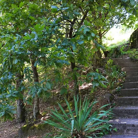 Javali - Casas Barca Do Rio By Casas * Gerês