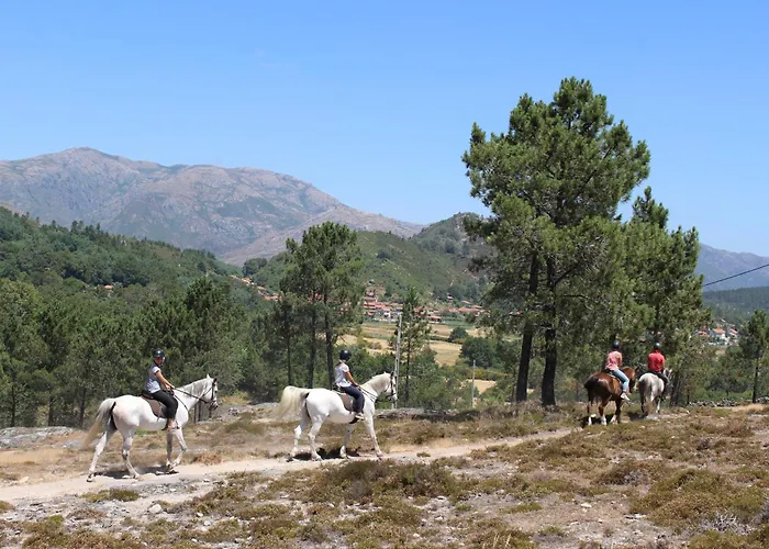 Javali - Casas Barca Do Rio By Casas *